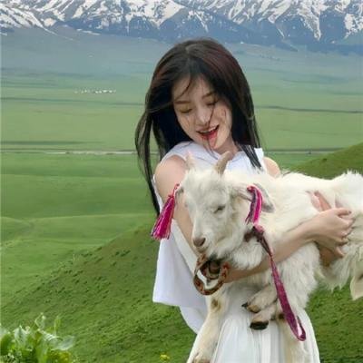 28天毁灭倒数
